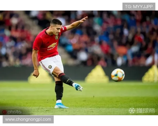 谢什科谈初到球队感受称达洛特给予帮助并分享冥想与篮球爱好